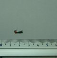Мормышка Овсинка.  d=1,5 мм. вольфрам. зелёная
